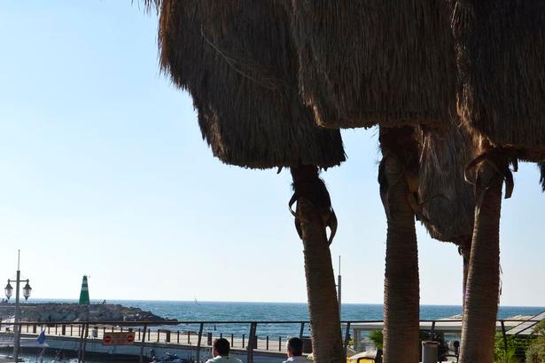 Tel Aviv Marina. Marinaen er en eksotisk middelhavslystbådhavn med eksklusive både, hvide sejl og palmer. 