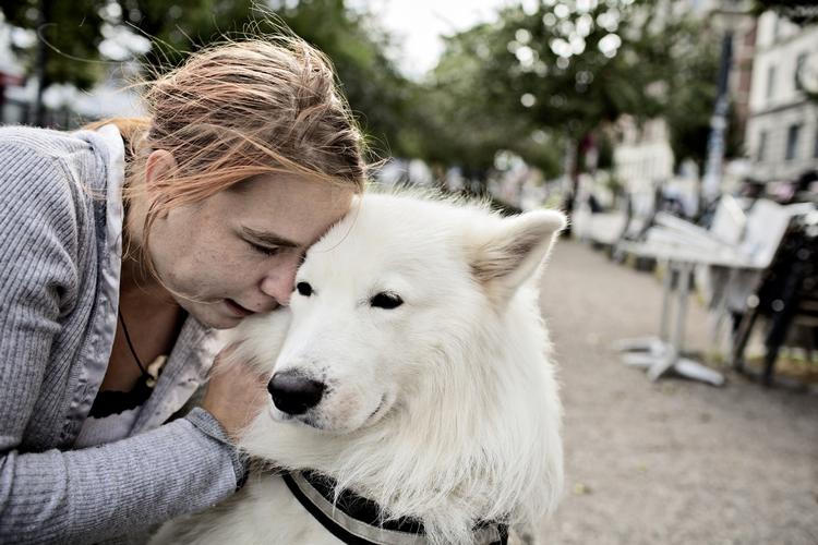 Bopæl. Anita Abrahamsen med sin hund Manok. Den 29-årige hjemløse mærker, at der er kommet flere hjemløse på gaden. 