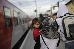 Germany Migrants