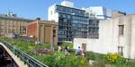 Succes. The High Line i New York (øv.) er åbnet i tre etaper med sidste del, der var færdig sidste år. Den er et eksempel på en klar tendens: nyt liv til gamle industrianlæg. 