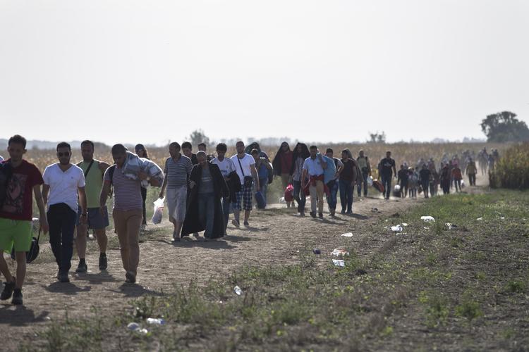 VANDRING. Tusinder er i øjeblikket på vej gennem Kroatien mod EU. 
