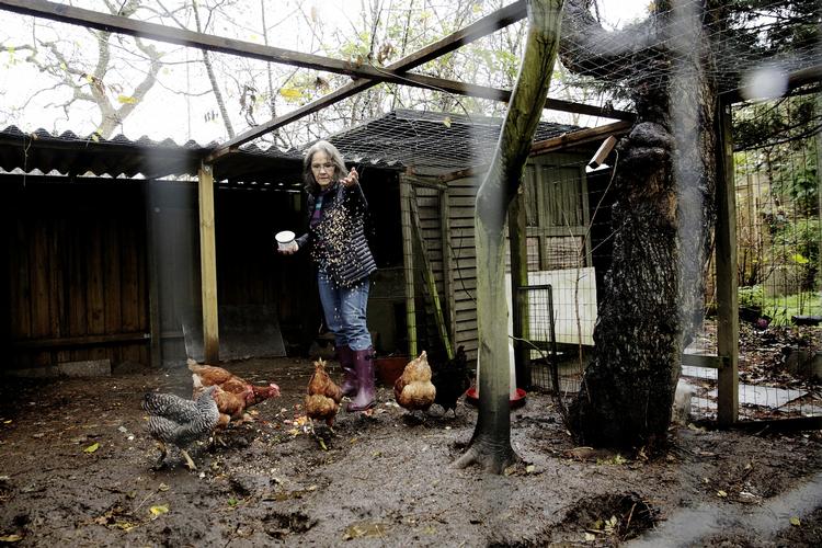 Pension: Kirsten Aalling har været skilt i næsten 10 år, men alligevel skal hun fortsætte med at indbetale til en ægtefællepension. Det kommer til at koste hende 15.000 kroner om året, når hun går på pension. 