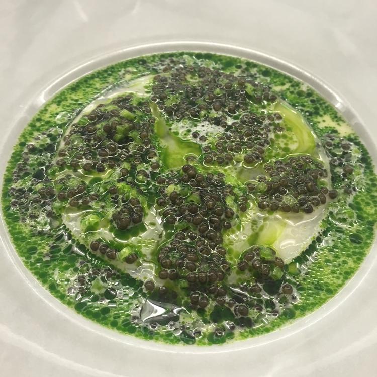 Hav. Årets Ret i kategorien Hav kommer fra Geranium og Rasmus Kofoeds grydeskeer. Den bestod blandt andet af kulmule. 