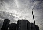 BIOBRÆNDSTOF. I Maabjerg ved Holstebro står et kæmpe biogasanlæg og der er også et kraftværk. Og man ønsker sig politisk opbakning til at lave et tredje element - nemnlig et bioethanolanlæg. 