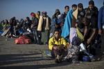 Afmagt. Flygtninge og migranter venter ved grænsen til Kroatien. 