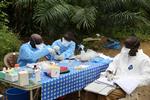 VIRUS I AFRIKA