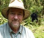 ABESKUD. Givskud Zoo-direktør Richard Østerballe er ’fanget’ sammen med en gorilla i Rwanda, hvortil Østerballe ofte rejser som rejseleder. 