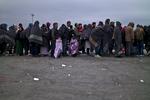 KØ. Migranter venter i morgenkulden på at blive fragtet væk fra grænseposten i Nickelsdorf på den østrigsk-ungarske grænse. 
