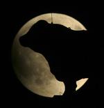 Supermånen - med en statue af et kreatur i forgrunden - er her fotograferet i Kansas City i Missouri i USA. 