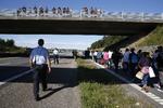 Asyl. Flygtninge og migranter marcherede på motorveje i Danmark i begyndelsen af september. De ville til Sverige. (arkivfoto) 