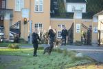 INDSATS. Politi med hunde ud for asylcenteret efter nattens drabsforsøg. 