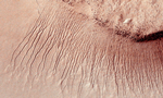 Vandmønster. I går blev det klart, at de dynamiske mønstre på overfladen er Mars er skabt af saltholdigt vand. Her ved bassinet fra nedslagskrateret Hellas. 