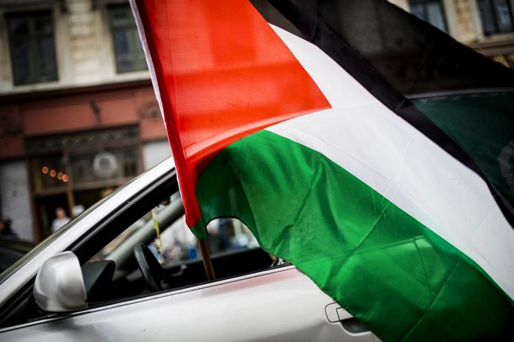 Flag. Demonstration i København for solidaritet med palæstinenserne i konflikten mod Israel. 