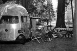 HISTORISK. Camping i Yosemite i 1952. Både dengang og nu trækker parken kolossalt mange gæster. Især i sommerweekender, hvor trængslen kan være overvældende. 