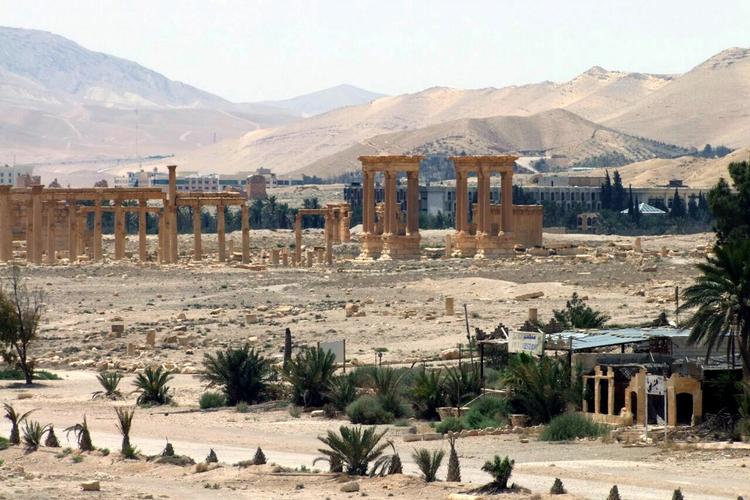 Verdenskulturarv. Oldtidsbyen Palmyra fotograferet før islamisk Stat begyndte deres ødelæggelser. Foto fra det officielle syriske nyhedsbureau SANA 