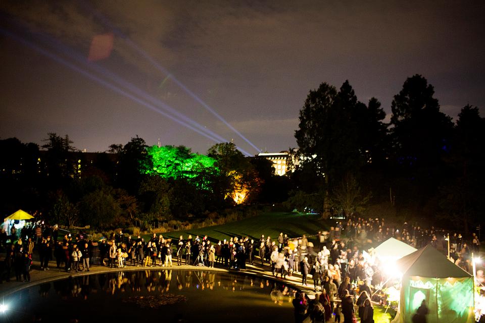København set fra Botanisk Have, hvor den neongrønne farve forsøgte at bryde gennem mørket. 