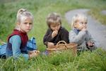 Opslugt. Magne på 6 år, Ylva på 4 og Alvin på 2 er gået i gang med vindruerne, som Søren Ryge havde medbragt. 