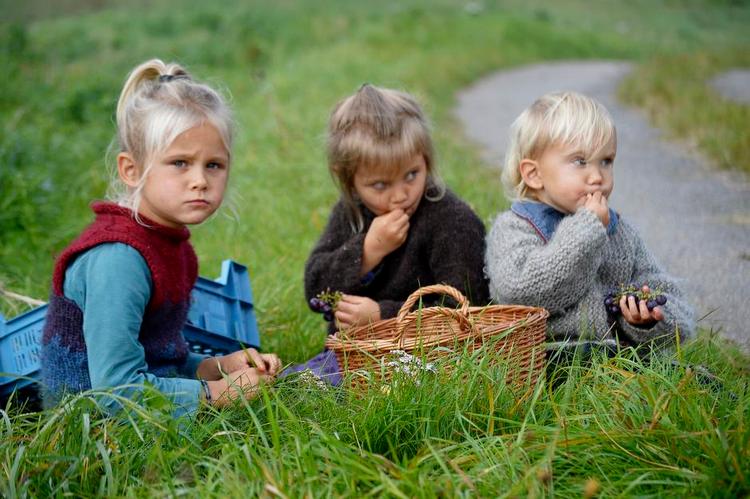 Opslugt. Magne på 6 år, Ylva på 4 og Alvin på 2 er gået i gang med vindruerne, som Søren Ryge havde medbragt. 