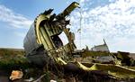 Mh17-1 copy