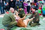 Lærerigt. Odense Zoo har i cirka tyve år dissekeret dyr foran publikum. Derfor undrer de sig over den debat, dagens dissektion af en løveunge har afstedkommet, men hilser den velkommen, da den er med til at sætte fokus på, hvorfor vi har zoologiske haver. (Arkivfoto). 