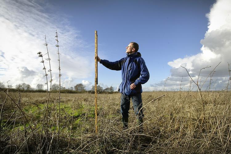 Omstilling. Miljøministeriet og kulturministeriet står bag et genopretningsprojekt i Danmarks største lavmose Store Åmose i Vestsjælland. Projektet er nu ramt sammen med andre besparelser på grøm omstilling. 