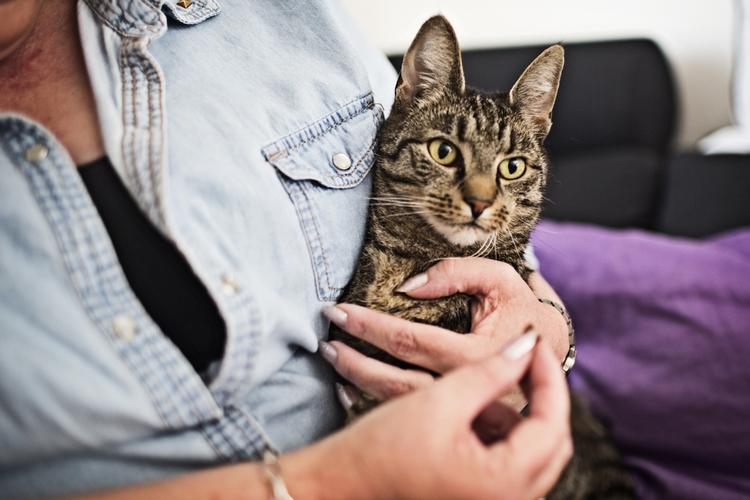 UETISK. Dyrlæger kan sætte ejere i et uhensigtsmæssigt dilemma, når de ikke er åbne omkring deres priser, mener dyreetiker. Dyrenes Beskyttelse er uenige. 