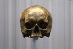 UNIK. Menneskehedens museum i Paris rummer mange særlgie genstande. Bl.a.. kraniet af filosoffen René Descartes. 