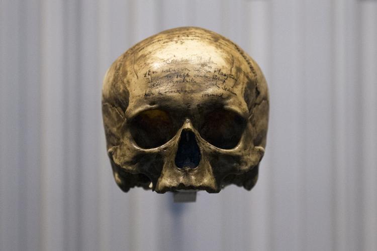 UNIK. Menneskehedens museum i Paris rummer mange særlgie genstande. Bl.a.. kraniet af filosoffen René Descartes. 