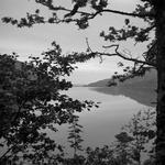 Søstykke. Et foto fra et bokskamera er fattig på detaljer, men fremmer den grafiske helhed. 