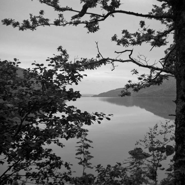 Søstykke. Et foto fra et bokskamera er fattig på detaljer, men fremmer den grafiske helhed. 
