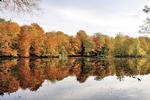 Hillerød. Fantasiens Ø spiller ud med kraftige efterårsfarver. Læserfoto: Pia Nielsen 