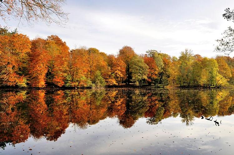 Hillerød. Fantasiens Ø spiller ud med kraftige efterårsfarver. Læserfoto: Pia Nielsen 