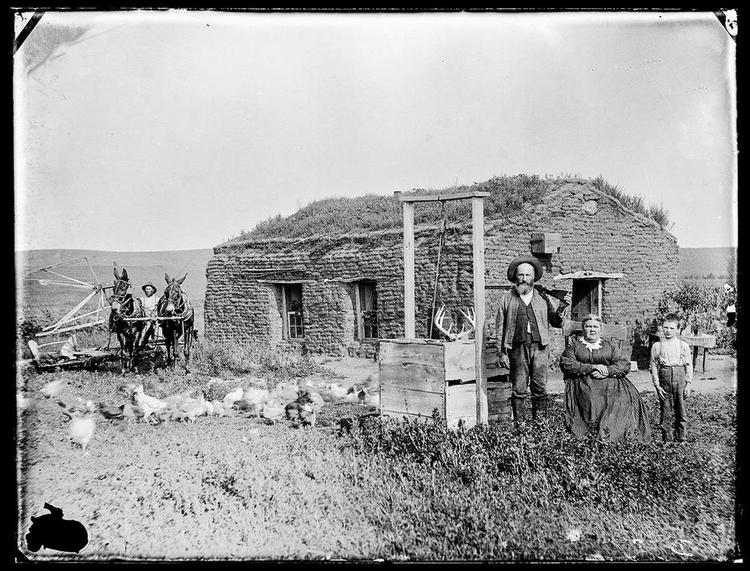 Hjem. Tørvehytten var ikke sjældent den første bolig, danskerne flyttede ind i. Men med gardiner og kalkede vægge, kunne den være helt hyggelig. Andre måtte bo i telte. 