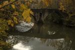 Spanien. Broen Magdalena bridge over floden Arga i Pamplona. 