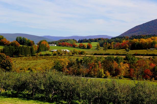 USA. Et landskab og bjergene Berkshire i Massachusetts pakket ind i efterårsjakke. 