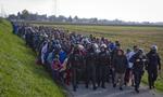 ESKORTE. Slovenske betjente ledsager migranter, der er kommet ind i landet fra Kroatien. 