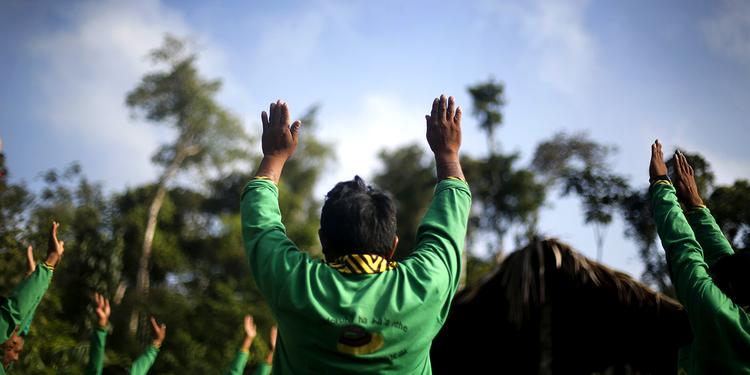 Nødråb. Efter at Politiken og Greenpeace forlod Ka'aporindianernes område er de hvide naboer gået til modangreb og nu hærges store områder af skovbrande og motorsave. 