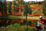 Japan. Landet tiltrækker mange turister i foråret, der vil se kirsebærtræerne springe ud. Men efteråret er bestemt også pænt her ved søen Takimi på øen Hokkaido. 