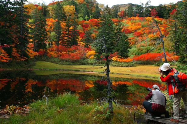 Japan. Landet tiltrækker mange turister i foråret, der vil se kirsebærtræerne springe ud. Men efteråret er bestemt også pænt her ved søen Takimi på øen Hokkaido. 