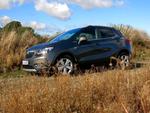 ALSIDIG. Når Opel Mokka har firehjulstræk, kan den til en vis grad kæmpe sig gennem terræn. 