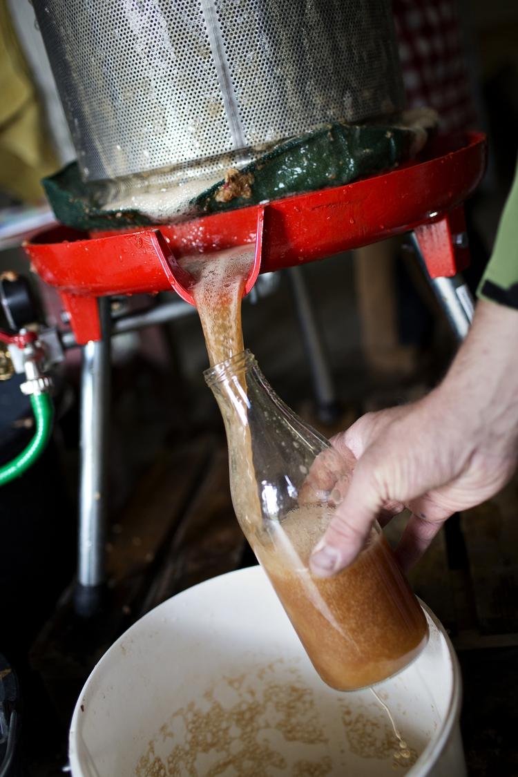 Mostmageri. Har man ikke selv grej til det eller mod på det, kan man få sine æbler kværnet og presset til most, for eksempel hos mikromosteriet på Østervang Gård i Lille Skensved mellem Solrød og Køge 