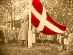 danefæ. Vi bliver jer svar skyldige, men på www.danmarkpaafilm.dk efterlyser de mere information om, hvad der sker. Og hvornår det skete. 
