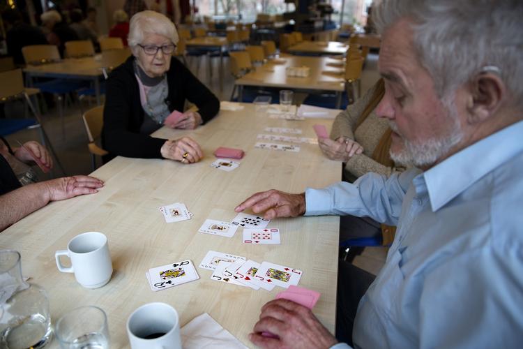 Gevinst. De ældre får en stor del af dette års frie midler i satspuljen, som blev forhandlet på plads i aftes. Blandt andet går 470 millioner kroner til en national handlingsplan for demens. 