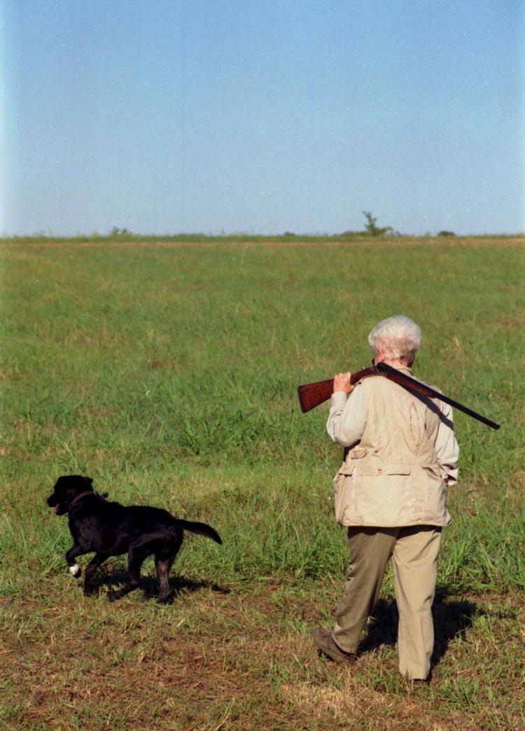 Geværglade. Amerikanske medier kan på årsbasis berette om hundeejere, der er blevet skudt, fordi deres egen hund har sat poten på et geværs aftrækker. Oftest sker ulykker i forbindelse med jagt. 