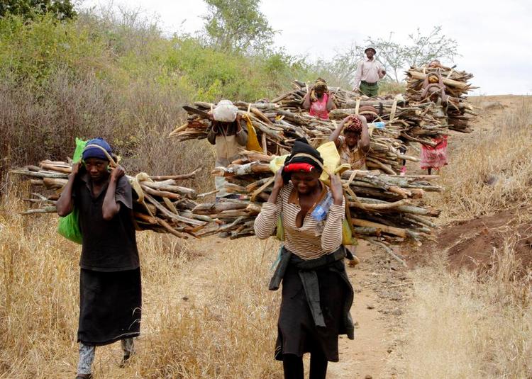 bålmad. En gruppe kvinder i xxx henter brænde til at lave mad over. Elektricitet er stadig kun for et mindretal i Afrika, hvor 80 procent af befolkningen er afhængig af fast biomasse som træ, når der skal laves mad. Arkivfoto: Khalil Senosi/AP 