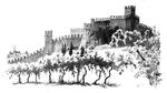 Anbefaling. Spis&amp;Bo guider til de bedste vine fra Italiens mest klassiske vinområder. Tegning: Roald Als 