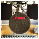 Strejke. Timenyhederne i radioen og hjemmesiden dr.dk bliver varetaget af nødbemanding efter arbejdsnedlæggelse i DR Nyheder. 