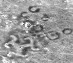 HAGEKORS. Et trebenet hagekors er én af de steppe-geoglyffer, som er blevet fundet i Kasakhstan.FOTO: NASA 