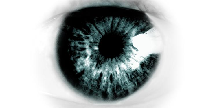 Lysmåler. Lysfølsomme nerveceller i nethinden dør hurtigere hos patienter med Alzheimers sammenlignet med en rask kontrolgruppe, hvilket påvirker øjets registrering af lys og dermed hjernens biologiske døgnrytme. 