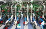 Gigant. Den tyske slagterikoncern har satset på større effektivitet på slagterier i Tyskland. 